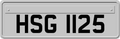 HSG1125