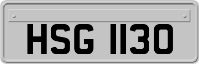 HSG1130