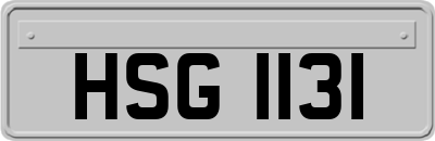 HSG1131