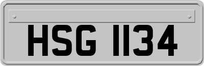 HSG1134