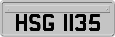 HSG1135