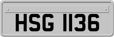 HSG1136