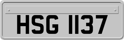 HSG1137
