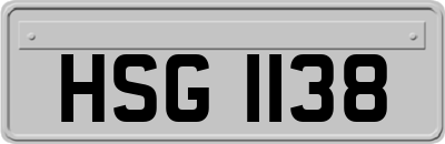HSG1138