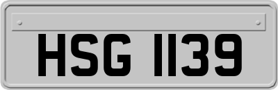 HSG1139