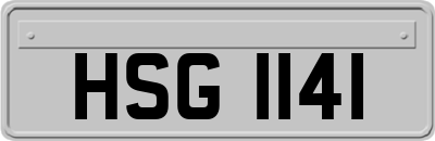 HSG1141
