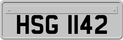 HSG1142