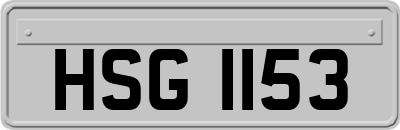 HSG1153