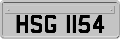 HSG1154