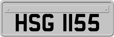 HSG1155