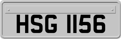 HSG1156