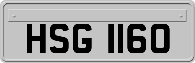 HSG1160