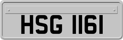 HSG1161