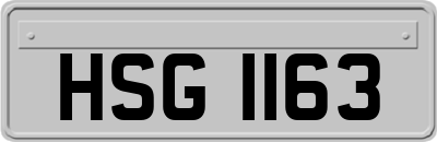 HSG1163
