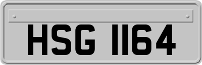 HSG1164