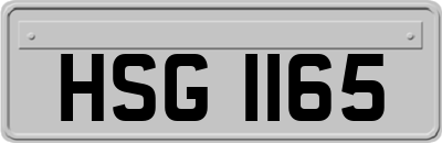 HSG1165