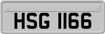 HSG1166