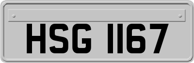 HSG1167