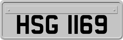 HSG1169
