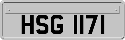 HSG1171