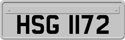 HSG1172