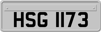 HSG1173