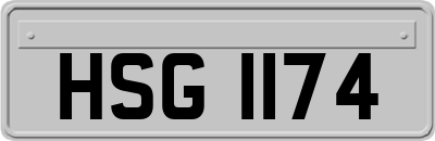HSG1174