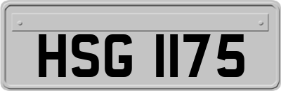 HSG1175