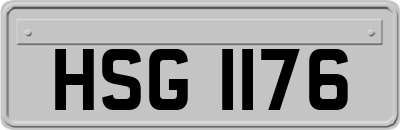 HSG1176