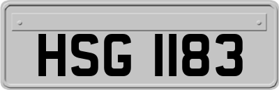HSG1183