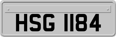 HSG1184