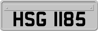 HSG1185
