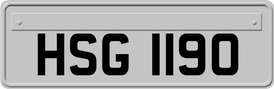 HSG1190
