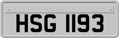 HSG1193