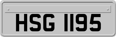 HSG1195