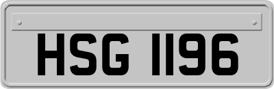 HSG1196