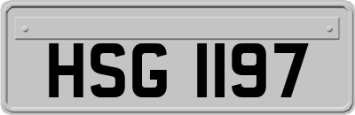 HSG1197