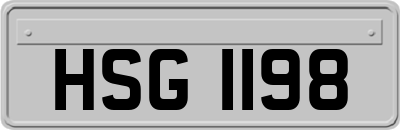 HSG1198