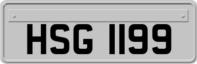 HSG1199