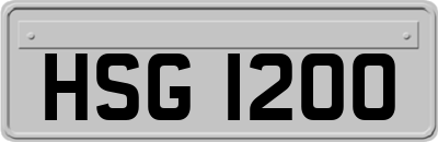 HSG1200