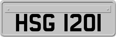 HSG1201