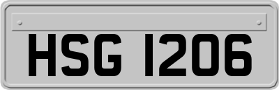 HSG1206