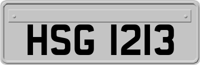 HSG1213