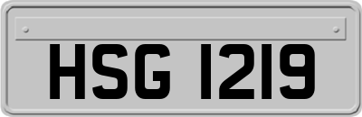 HSG1219