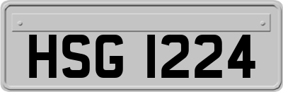 HSG1224