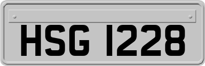 HSG1228