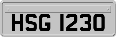 HSG1230