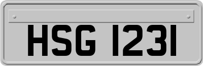 HSG1231