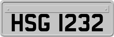 HSG1232