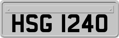 HSG1240
